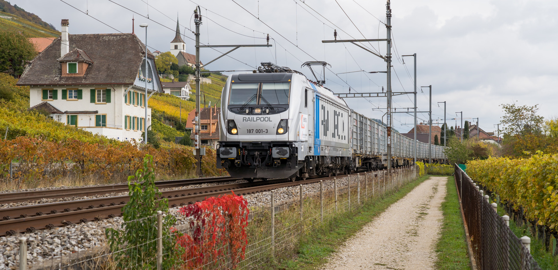 Zuckerrüben Sersa Schweiz